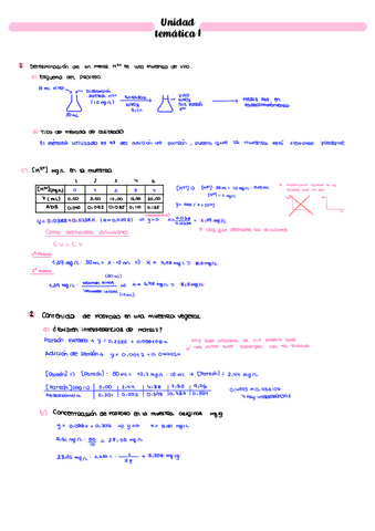 Seminarios-TAII-primer-parcial.pdf