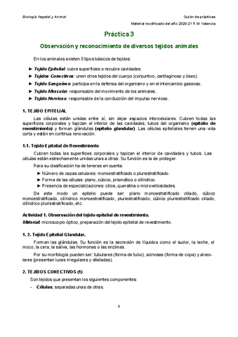 PRACTICA-3.pdf