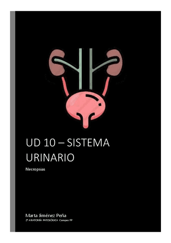 UD-10-SISTEMA-URINARIO.pdf