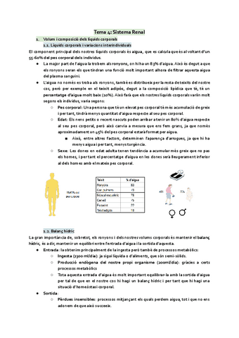 Sistema-renal.pdf