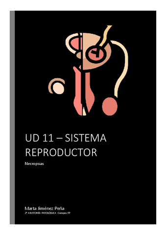 UD-11-NECRO-SISTEMA-REPRODUCTOR.pdf