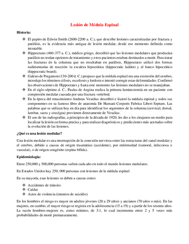 LSION-MedulA-EspInalll.pdf