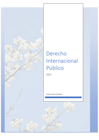 Internacional-Pub.pdf