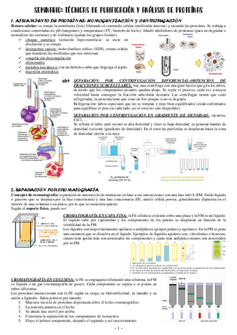 Seminario-tecnicas-de-purificacion-y-analisis-de-proteinas.pdf