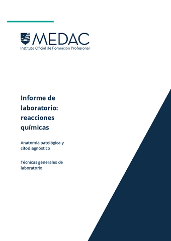 Informe de reacciones químicas.pdf