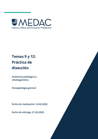 Practica disección hígado y aparato respiratorio.pdf