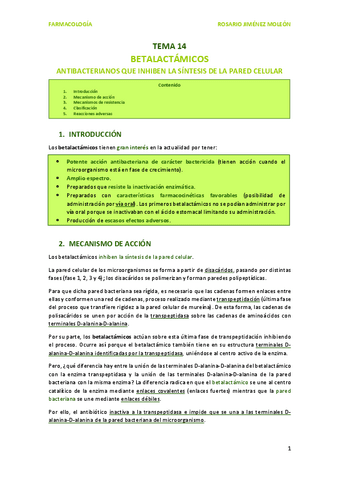 TEMA-14-BETALACTAMICOS.pdf