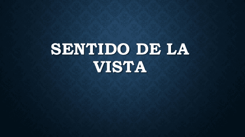 SENTIDO-DE-LA-VISTA.pdf