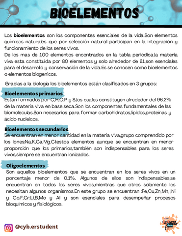 BIOELEMENTOS.pdf