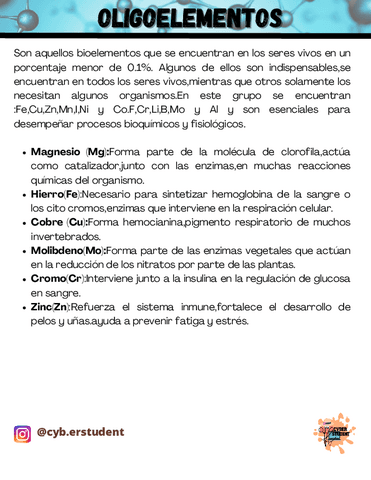 OLIGOELEMENTOS.pdf