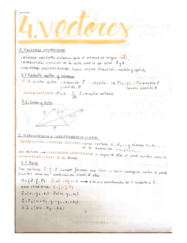 Vectores.pdf