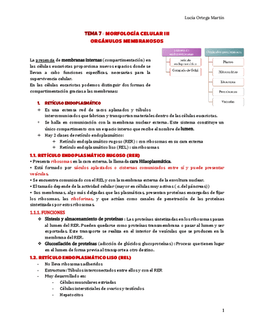 BIOLOGIA-TEMA-7-III-SELECTIVIDAD-1.pdf