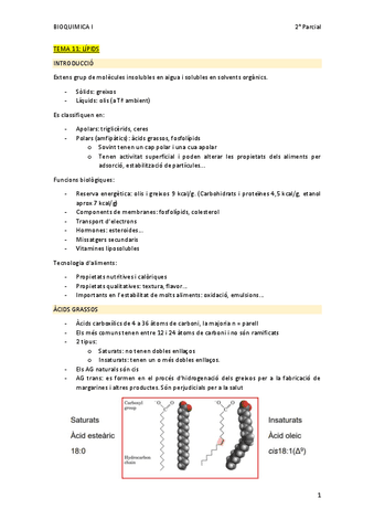 Bioquimica-I-2n-parcial-temes-11-20.pdf