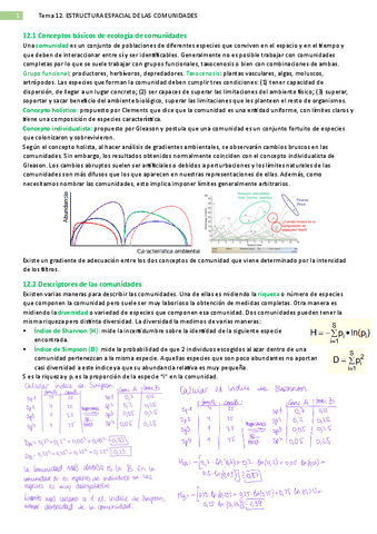 12.-Estructura-espacial-comunidades.pdf