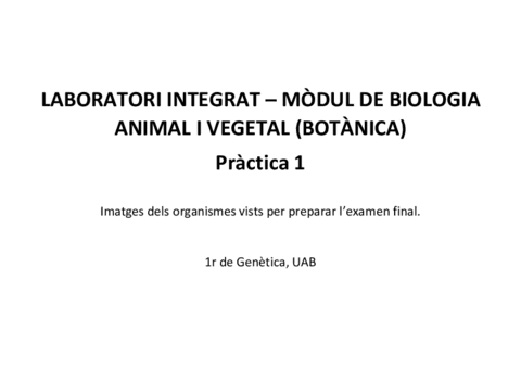 Resum-Botanica-Lab.pdf