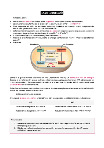 Tema-6-Microbiologia.pdf