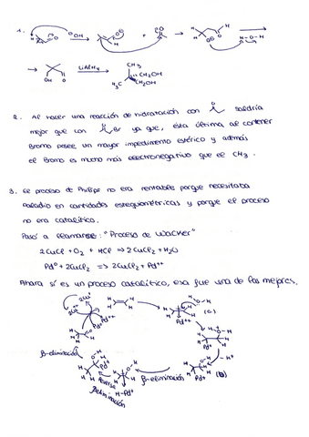 Documento-3.pdf