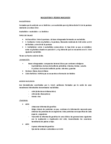 Acidos-nucleicos.pdf