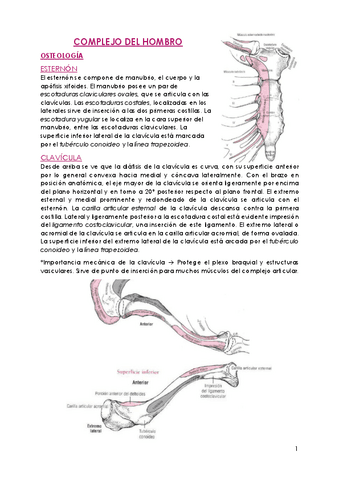 Biomecanica.pdf