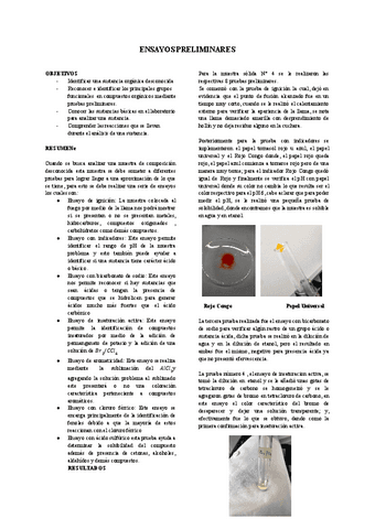 INFORME-ENSAYOS-PRELIMINARES.pdf