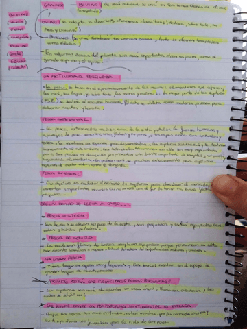 IMG20230226154847.pdf