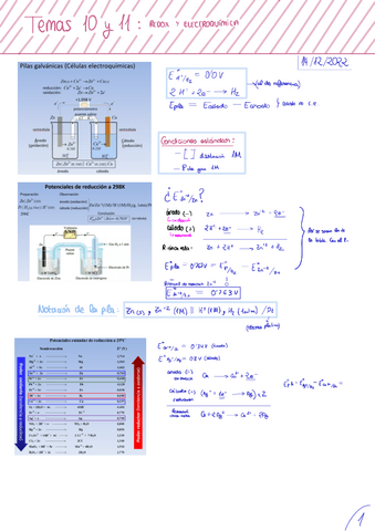 3Notas-temas-1011ELECTROQUIMICA.pdf