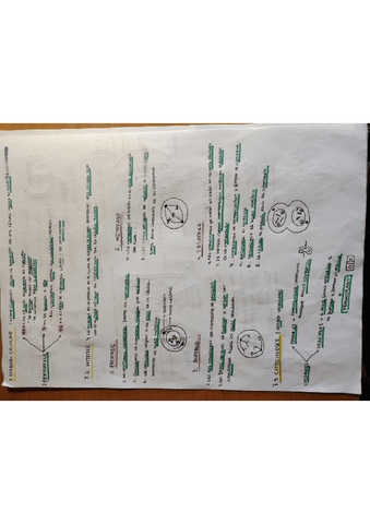 interfase-mitosis-citocinesis.pdf