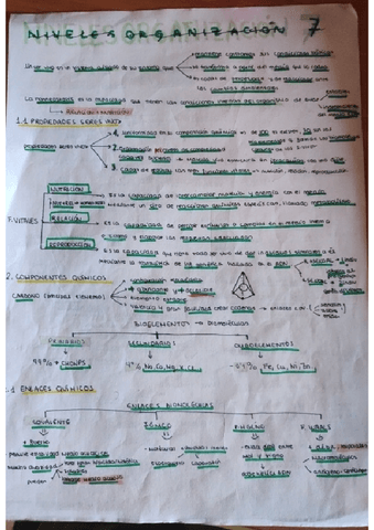 celula-tema-completo.pdf