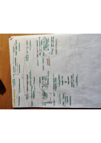 acidos-nucleicos.pdf