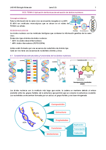 04-BMC-Tema-4-Apuntes-Lena.pdf