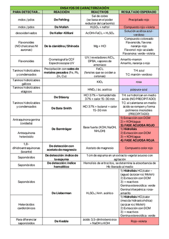 rcc-caracterizacion.pdf