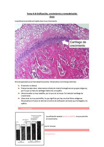 Tema-9.8-Osificacion-crecimiento-y-remodelacion-osea.pdf