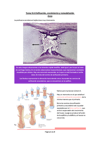 Tema-9.6-Osificacion-crecimiento-y-remodelacion-osea.pdf