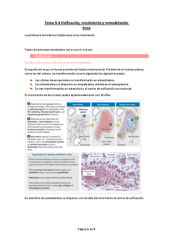 Tema-9.4-Osificacion-crecimiento-y-remodelacion-osea.pdf