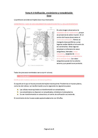Tema-9.3-Osificacion-crecimiento-y-remodelacion-osea.pdf