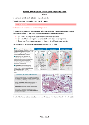 Tema-9.1-Osificacion-crecimiento-y-remodelacion-osea.pdf