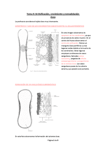 Tema-9.16-Osificacion-crecimiento-y-remodelacion-osea.pdf