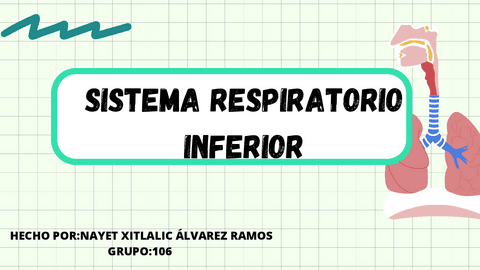 SISTEMA-PULMONAR.pdf