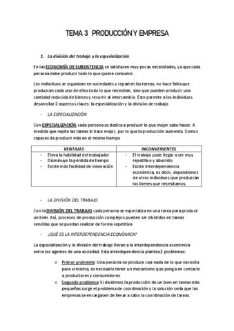 Tema-3-Produccion-y-Empresa.pdf