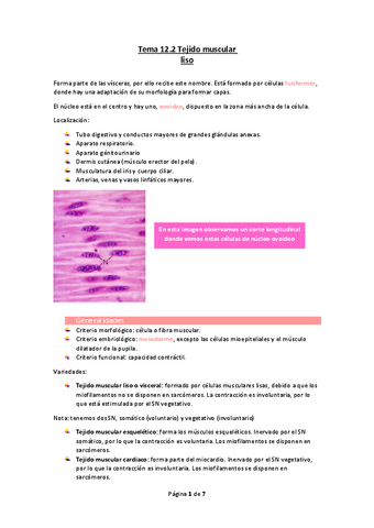 Tema-12.2-Tejido-muscular-liso.pdf