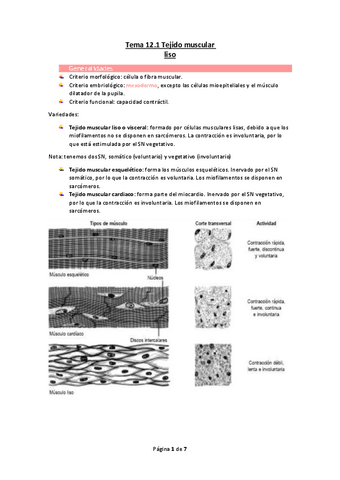 Tema-12.1-Tejido-muscular-liso.pdf
