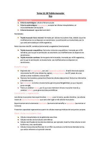 Tema-12.18-Tejido-muscular-liso.pdf