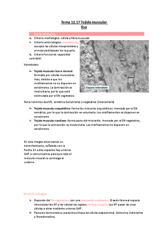 Tema-12.17-Tejido-muscular-liso.pdf