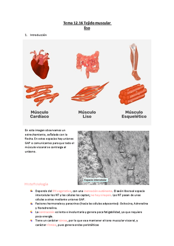 Tema-12.16-Tejido-muscular-liso.pdf