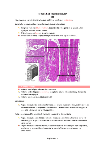 Tema-12.13-Tejido-muscular-liso.pdf