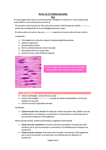 Tema-12.12-Tejido-muscular-liso.pdf