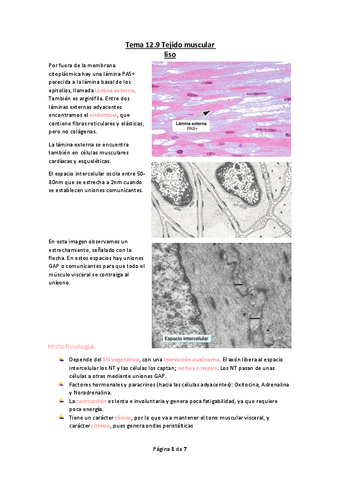 Tema-12.9-Tejido-muscular-liso.pdf