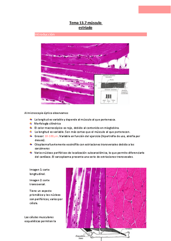 Tema-13.7-musculo-estriado.pdf