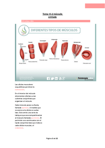 Tema-13.2-musculo-estriado.pdf