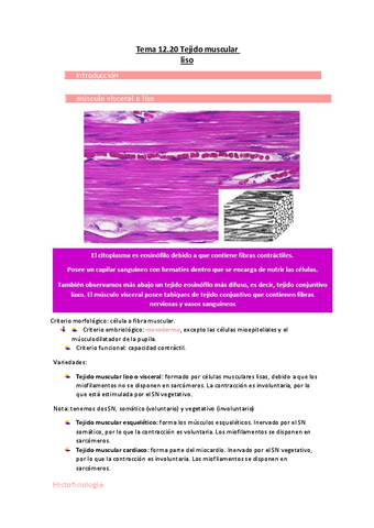 Tema-12.20-Tejido-muscular-liso.pdf